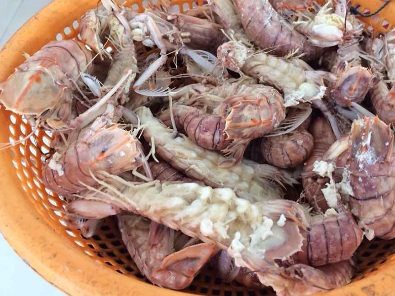 フーコック島の海鮮料理　シャコ