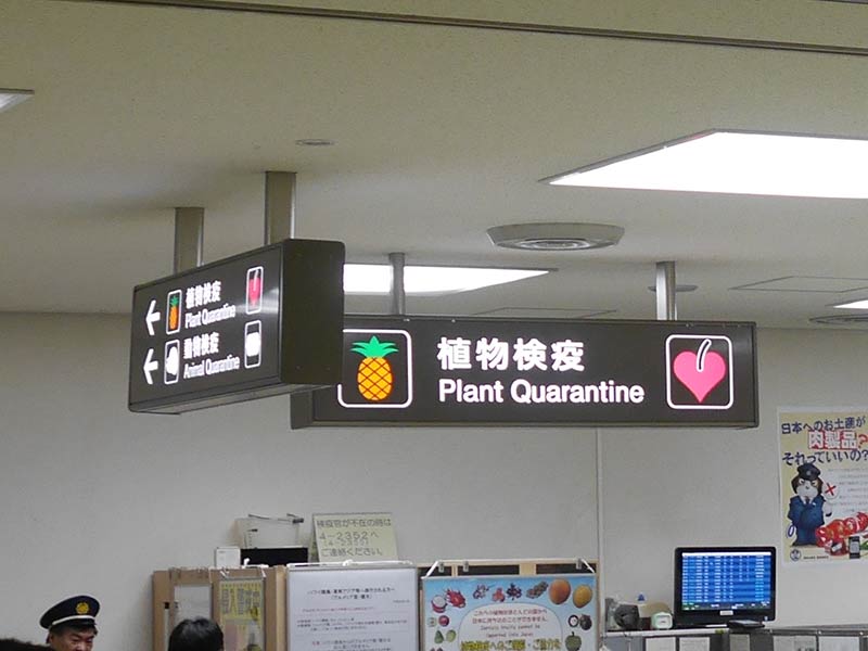 成田空港の植物検疫所