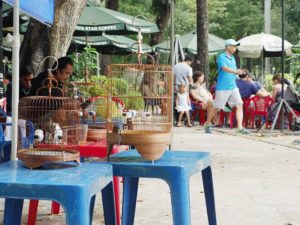 タオダン公園の鳥カフェ
