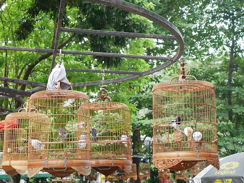タオダン公園の鳥カフェ