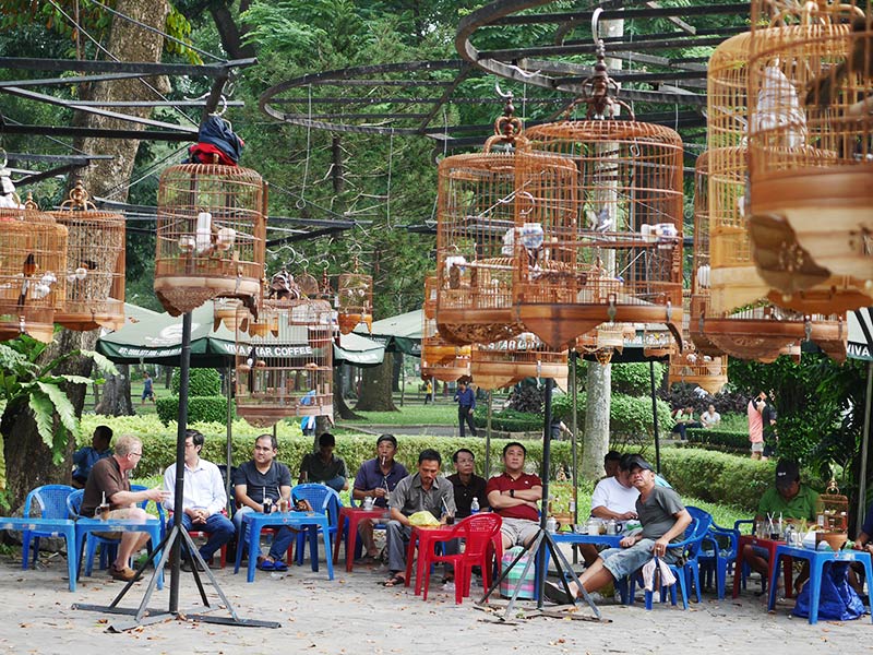 タオダン公園の鳥カフェ