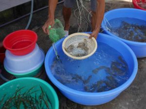 ハムニン　海鮮レストラン